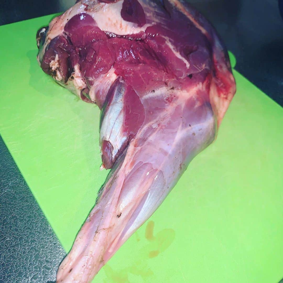 田中翔さんのインスタグラム写真 - (田中翔Instagram)「メスの鹿  草食なのにこの脚の筋肉はすごい  もっとワイルドになりたいので  野生のパワー頂きます  #ジビエ」4月25日 13時00分 - sho_tanaka_sho