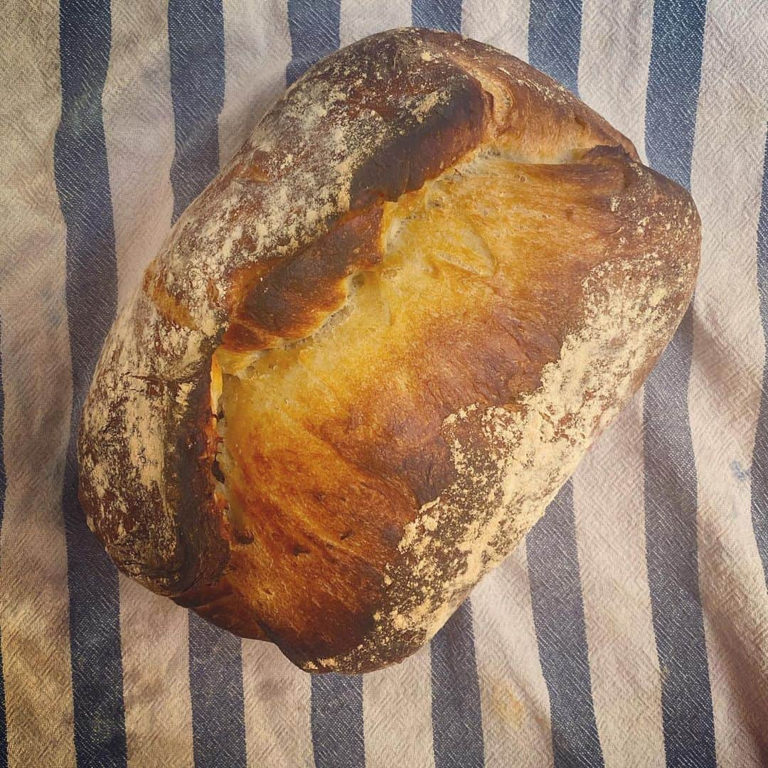 トローヤン・ベリサリオさんのインスタグラム写真 - (トローヤン・ベリサリオInstagram)「Sourdough. Loaf #4. (Starter from scratch. But a pinch of dried yeast to get things excited) results. Delicious. But could have more bubbles... 🍞」4月25日 5時57分 - sleepinthegardn