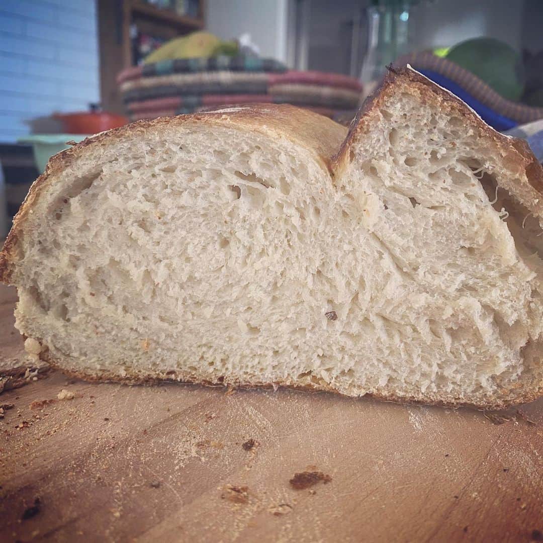 トローヤン・ベリサリオさんのインスタグラム写真 - (トローヤン・ベリサリオInstagram)「Sourdough. Loaf #4. (Starter from scratch. But a pinch of dried yeast to get things excited) results. Delicious. But could have more bubbles... 🍞」4月25日 5時57分 - sleepinthegardn