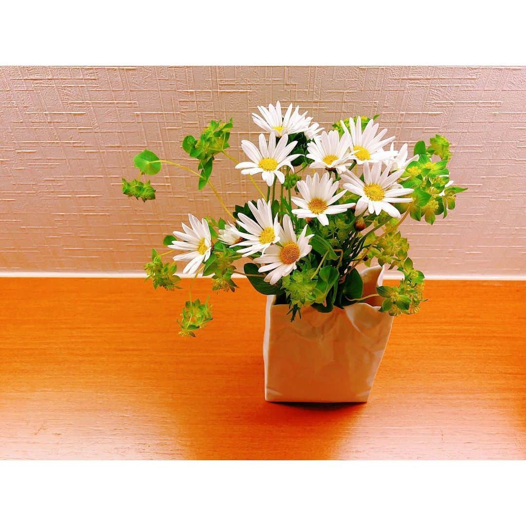 潘めぐみさんのインスタグラム写真 - (潘めぐみInstagram)「Good morning , Marguerite！🍃✨ . 自分と同じ名前の花を。 . たくさんの緑に囲まれて。 . 生花って、本当に生きている花なのよ。 . このフラワーベースに生けられるくらいの . 長さに調整してもらっているんだけど . 持ち帰った日、つぼみだった花が . 徐々に開いていくのがわかるの。 . この場所、ライトつけると光が強いから . 数十分で少しずつ開いていくのがわかる。 . 定点カメラで動画撮影したくなるレベル。 . 生きているんだなぁ。 . #今日の花 #マーガレット #marguerite #meg . この可愛らしい葉の名前は何というのだろう？ .」4月25日 6時13分 - han_meg_han