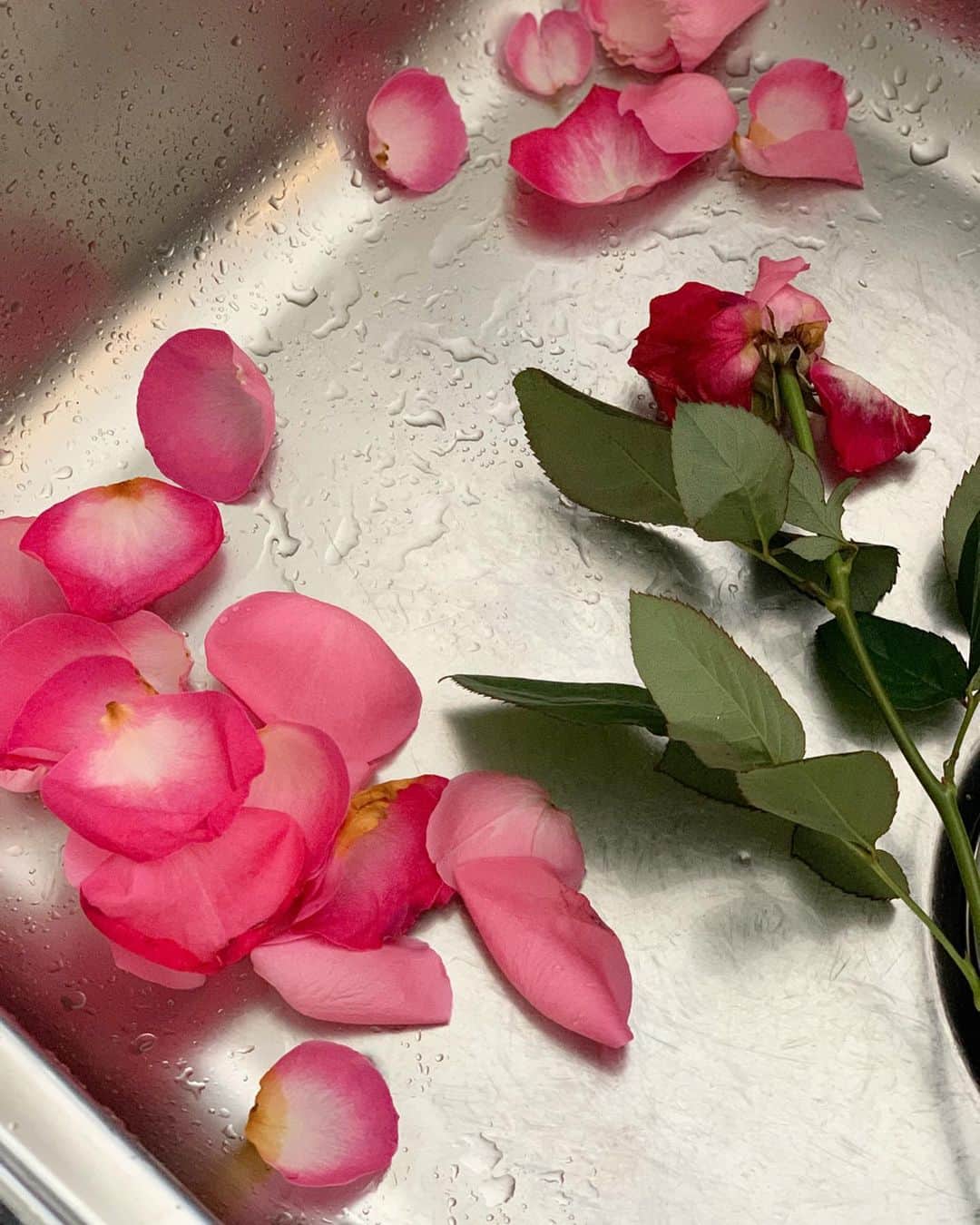 のインスタグラム：「・ ・ おはようございます🌞  朝お花の水の入れ替え 大輪のバラが1輪だけ花びらが落ちてしまった その姿でさえハッとするくらい美しい😌  最後まで楽しもうと花びらだけ拾い集めて ガラスの花器に入れた うん美しい  今日もステキないちにちを🌹 ・ ・ #life #flowers #roses #stayhome #staysafe」