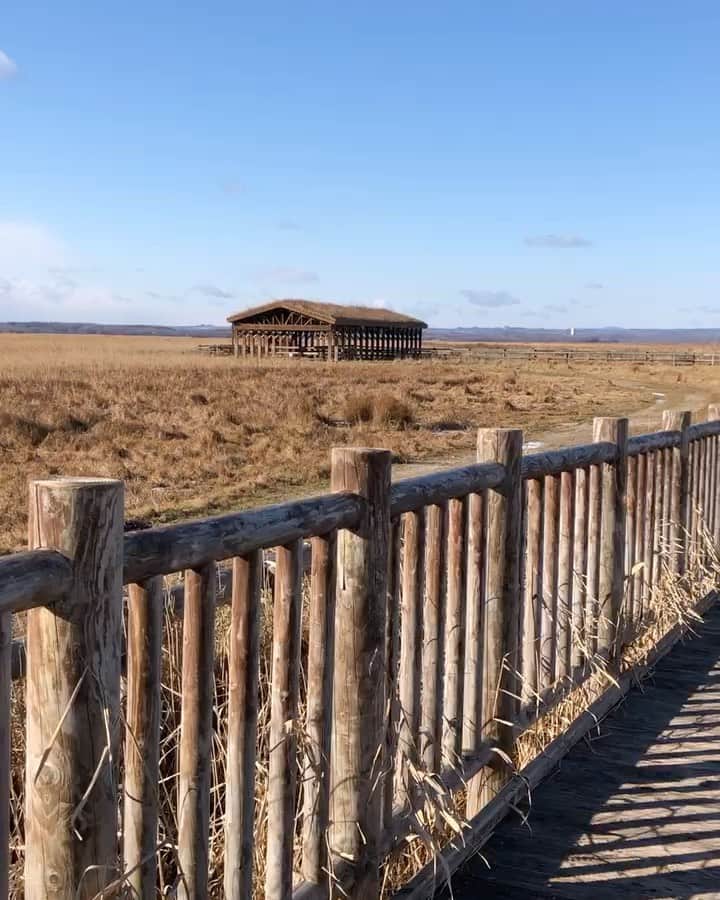 のインスタグラム：「. . 【　ノーフィルターの旅　】 . 気がつくと旅の写真を見てる。 この景色は今もここにあるんだね。 どうしてるかな。 ノーフィルターでもとてつもなく美しい。。 . BC(before corona)の頃の思い出。 今は遠いまぼろし。 . 未来の会話はもしかして、、 . 「昔はね、旅をしょっちゅう行けたんだよ。」 . 「えーーそうなの？」 . 「あとね、人と人が近くで話したり、 ハグしたりしたんだよー。」 . 「えーーマジで？よくそんな危ないことしてたねー。昔の人、勇気あるー。」 . みたいな世界になりませんように。 . コロナの戦略は、すぐに重症化させず、 人が気づかぬうちに人から人をそっと 渡り歩いて生き延びて、数ヶ月で世界中に 行き渡らせて、人間を封じ込めるというもの だったと押谷教授はいってたが、 ほんとそうだなぁって。 . なかなかの策士。 だからこそGW中は策士が色んなところに 移動しません様に🙏🏻 . 悲しみと希望と地球の想いと 自然界の悲鳴と。。 . 今日も情緒不安定上等😤 小麦粉ねって、たまにふて寝して、 旅の写真眺めて。。 . オキーフのレシピのアボカドのスープ作る。 アボカド潰してミルクで溶いてクミンいれて。 . 網戸の掃除しよーかなー。 タッパーの棚の整理いいかげんしよーかなー。 とりあえず漫画よもーかなー。でもなー。 . #情緒不安定上等」