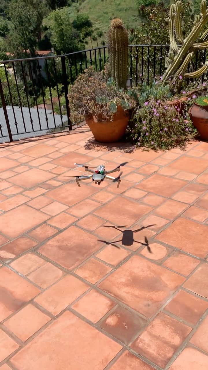 ケヴィン・スミスのインスタグラム：「I finished my Mallrats sequel script but ran out of green! @caviargoldmed sent the Cavi-Copter to the rescue! (Not a true story.)」