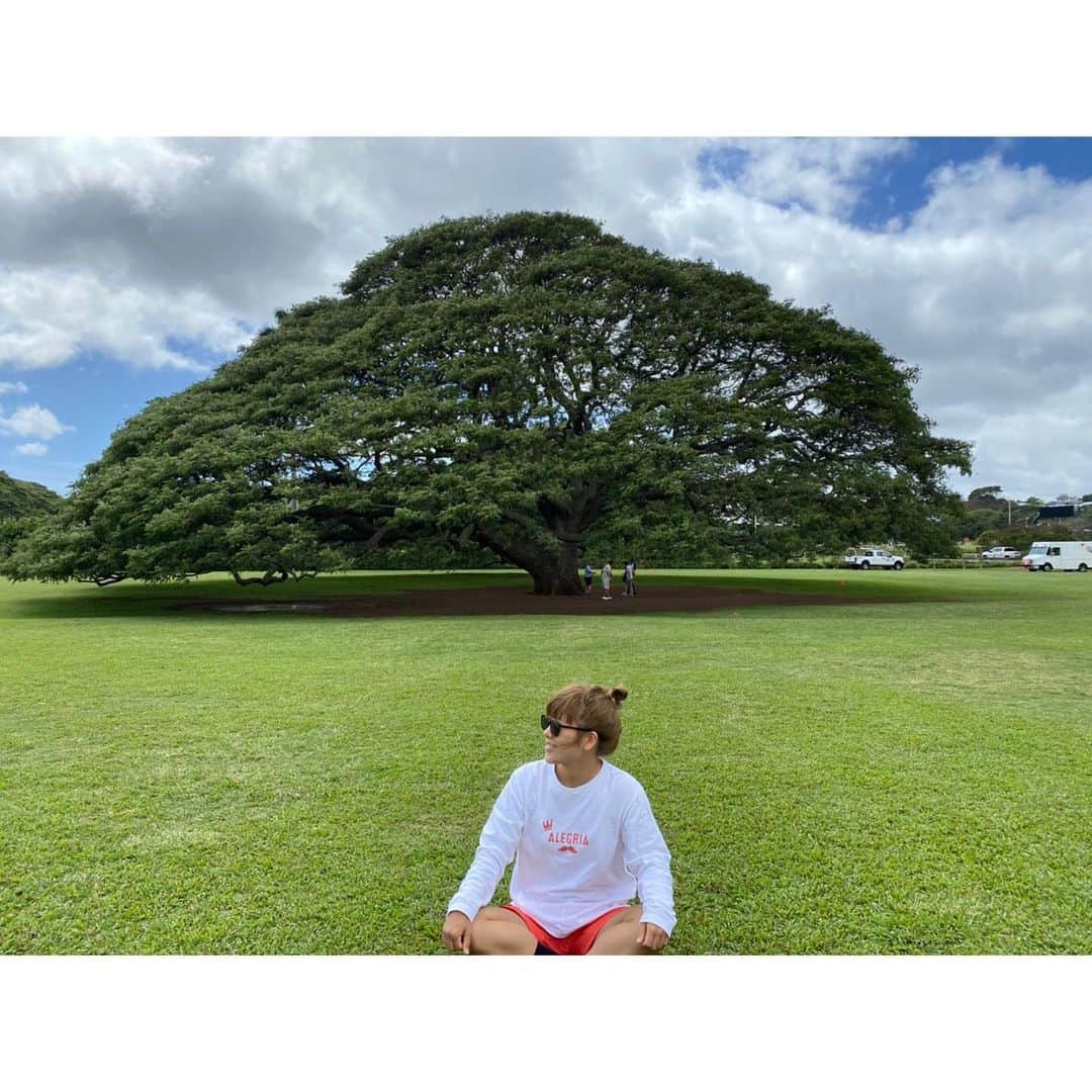 佐山万里菜さんのインスタグラム写真 - (佐山万里菜Instagram)「いつもトレーニング一緒にやっているキックボクサーで、割といい奴の琴 @koto620 がリングの上じゃなくて…キッチンでの闘い✨ グローブじゃなくてエプロンつけて🤣 . . みなさん人は見た目じゃないって事がよーく分かります🤔 リングの上では、強くてかっこいいし……。 プライベートでは、「あれ？なんかスポーツやってる？」とは聞かれちゃうタイプですが普通のおしゃれな女の子だし…。 ジムでトレーニング始まればめっちゃ頑張ってていつも刺激もらえるし…。 見た目は、クールでふざけたりしなそーだし何でもそつなくこなしそーなオーラ出してまが……。。 ギャップの振り幅がでか過ぎる🤣🤣🤣 このYouTube見てください🤣 いろーんな人と出会ってきたけど…なかなかのレベル💦 嘘だろ〜の連続。 もみさんがのツッコミがマジ面白いっ🤣 さすがっす💯💯💯 まだ前半戦だから、後半戦も楽しみにしてます✨ 見てくださいとは、言いましたが時間がありあまってる方はおススメします🤣 . . あの日からだろーか… コロナで時間があるからだろーか… 最近料理に興味が出てきてる琴選手、次の闘いに備えてるのか🤔笑 ひき肉がハンバーグに進化する、ひき肉がそぼろへと進化する事を学んだ🤣🤣🤣🤣 彼女は何でも形からはいるタイプなので…6月の誕生日は、エプロンをプレゼント🎁しよ✨笑 . 次の闘いも楽しみ🤣 こーいう企画本当おもしれぇー‼️‼️ さすがRISE💯 #爆笑 #笑顔 #オシャレ #チャンピオン #可愛い#写真#海好き #デトックス #アスリート#筋肉 #腹筋 #トレーニング #減量飯 #感謝 #ライフスタイル#いいね #お気に入り#instagood #女子サッカー #サッカー #筋肉女子 #story #平岡琴 #rise #キックボクシング女子 #料理対決 #料理 #youtube #rise #爆笑 #おススメ」4月25日 8時04分 - sayama.19