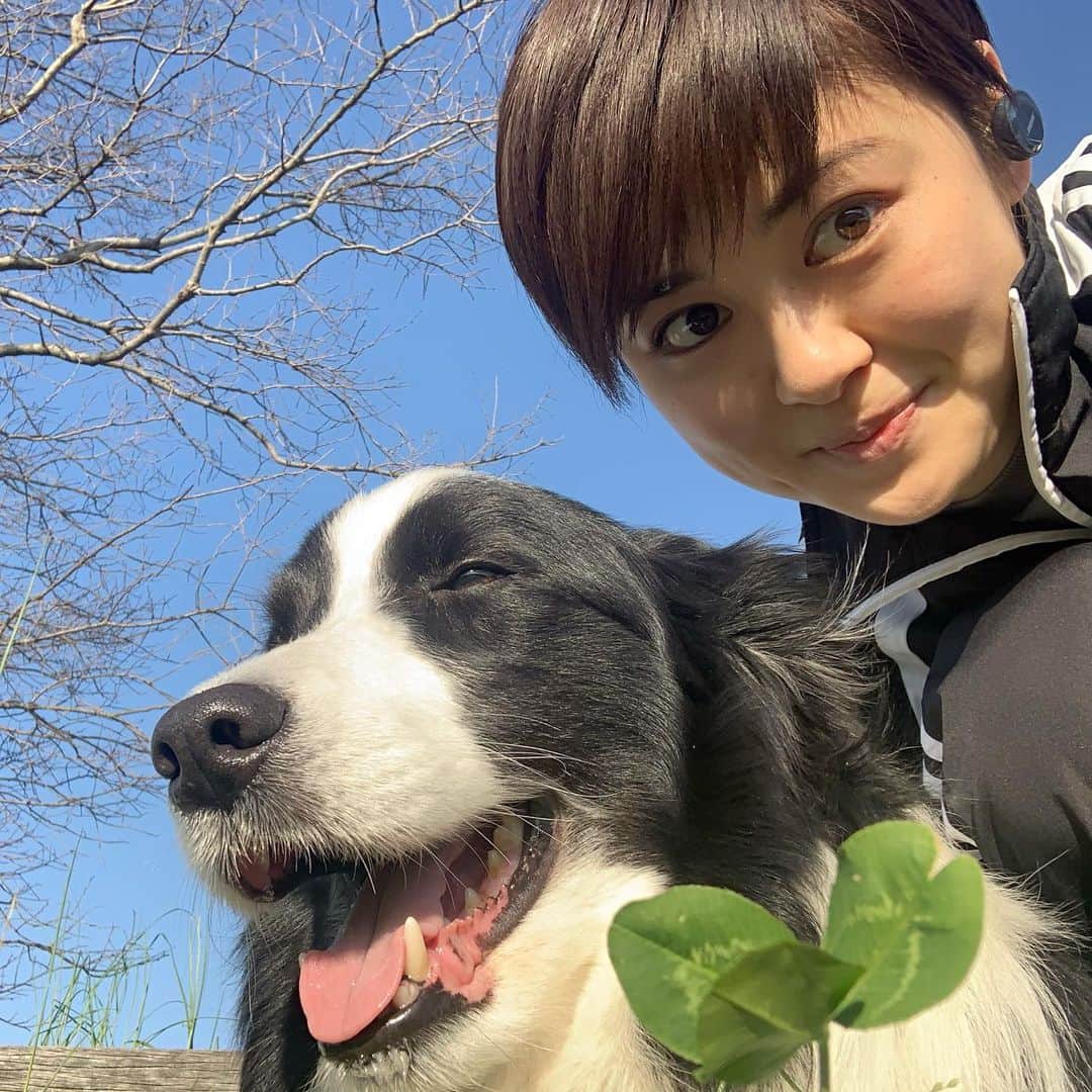 中島彩香のインスタグラム：「#enjoyhome 🐶☘️❤️ 色々と自粛しつつもわんちゃんも運動させてあげないとですね＾＾ 普段はマスクして人がいないところを選びながらお散歩してます！！最近は気候も良くてとってもリフレッシュできる時間🌿🌿 .」