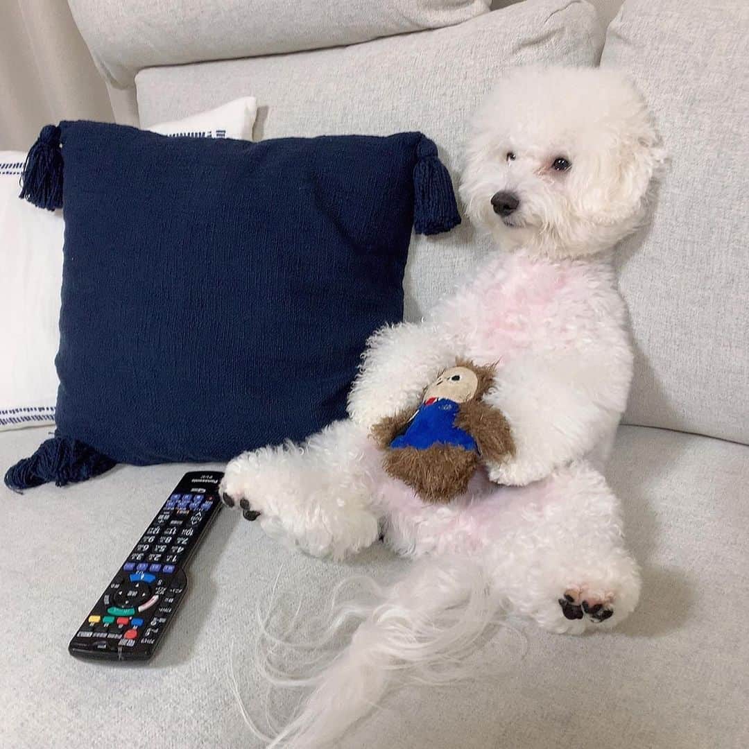 ハナマサのインスタグラム：「前世が人なのは間違いない。  #はなまさ　#hanamasagram #ハナマサグラム」
