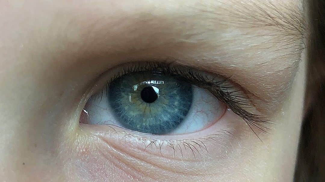 ニコラ・ペルツのインスタグラム：「my view 👁」