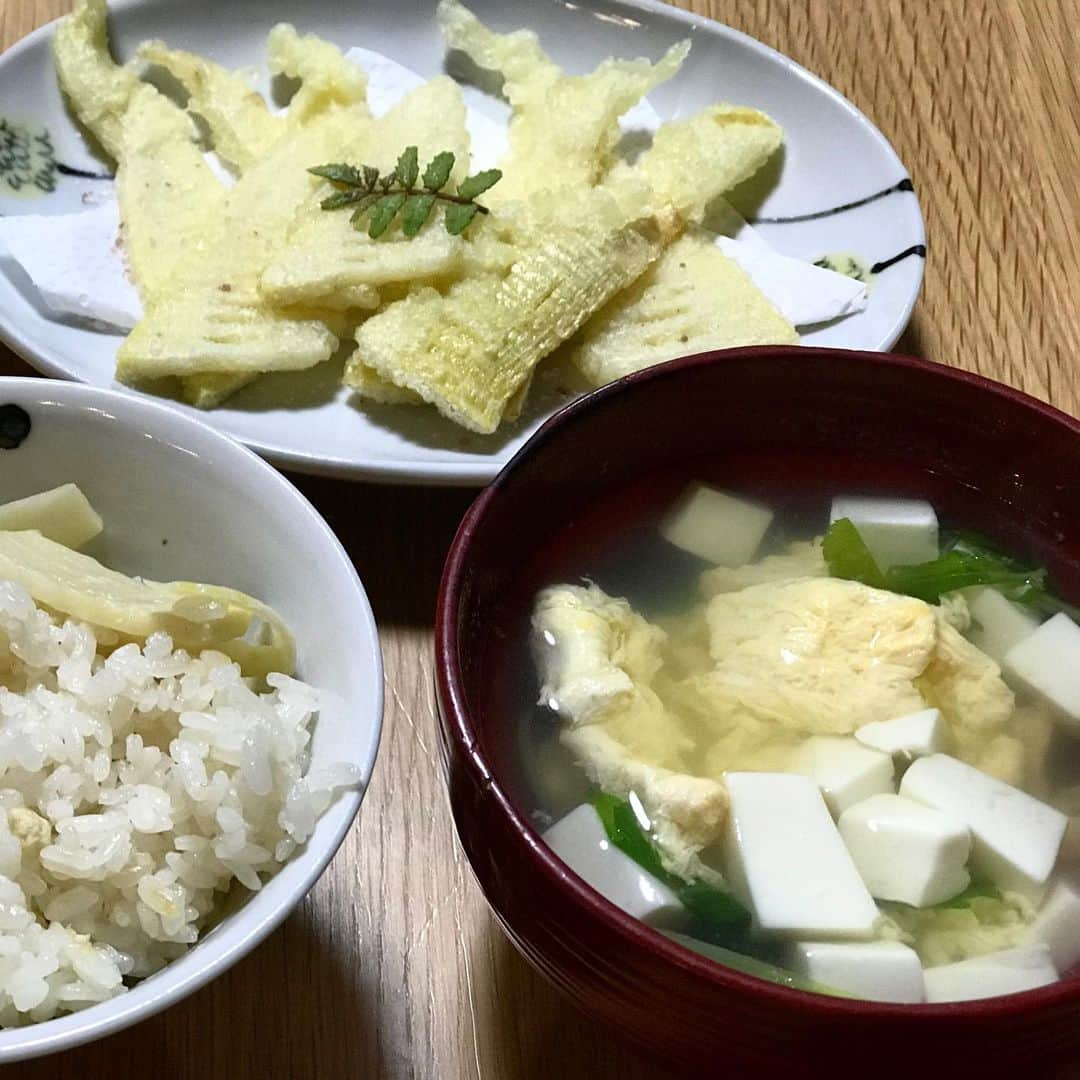 神野美伽さんのインスタグラム写真 - (神野美伽Instagram)「おはようございます 今朝も東京は快晴です  テレビのニュースでは、くっきりと美しい富士山が映し出されていました 富士山は、長い長い間、この国のさまざまな出来事を見てきたのでしょうね  さて、 政府が緊急事態宣言を発令して2週間以上が経ちました  今、まず、私ができること❗️ 近々、会社でのSkype取材があったりはしますが、出来る限り家および庭から外に出ないようにします❗️ 政府が〈とりあえずの期限〉としている5月6日まで、徹底してがんばります  私たちは勿論ですが、 何より政府があらゆる面を〈徹底して〉行うべきことではないでしょうか  正直、収束を迎えるまで長い長い時間が必要だと個人的には考えていますが、 必ず、どの方向かに向かう出口があります  次に私ができること  私自身の環境がもう少し整ったら、 何らかの形で歌を歌いたい、 皆様に届けたいと思うようになりました 私の次の目標が、皆様の楽しみにつながりますように  さてさて、 昨晩は、四国  高松から義弟のお父様が送ってくれた竹の子三昧でした ほんとうに有難いです  なぜか、ひと品、 スーパー依子さんが春巻を作ってくれました （笑）  #快晴　#富士山　#緊急事態宣言  #Skype #」4月25日 9時52分 - mika_shinno_japan