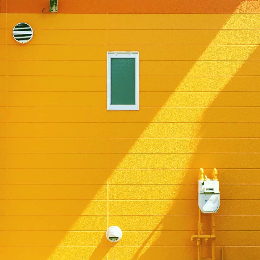 まめのインスタグラム：「Vitamins🍊 . . 家にこもるのが苦じゃないから ベランダで光合成をしています🌱🚿 . けど人と話したくなってきたから 話しかけてくれると喜びます😽 . #ザ壁部 #斜めヒカリ萌え部 #ihaveathingforwalls #rainbow_wall . #mwjp #igersjp #indies_minimal #shotoniphone #reco_ig  #youmobile #wearegrryo」