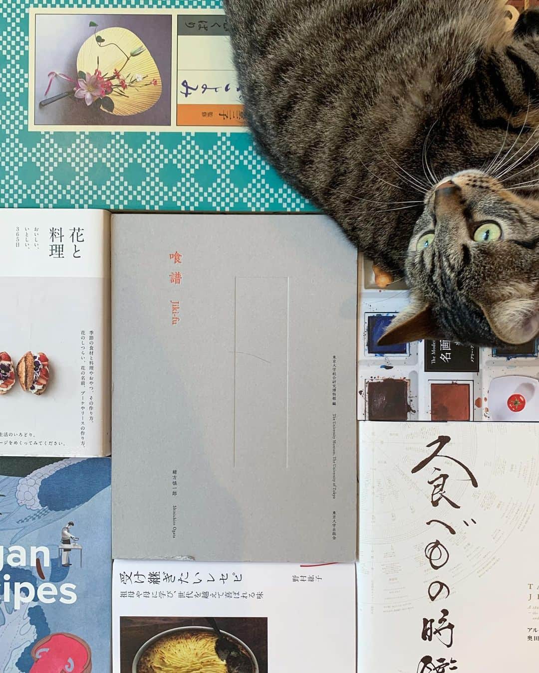 行方 久子 Hisako Namekataさんのインスタグラム写真 - (行方 久子 Hisako NamekataInstagram)「. #ひさこの課題図書、 今回は #料理本リレー バージョンです。  めでたくアンカーとしてゴール！ということでお受けさせていただきました。  バトンをくれたのは、昨年の夏の礼文島ツアーで知り合った料理家の加藤巴里ちゃん（ @pari_kato ） 巴里なんて、なんてステキな名前なんだ❤️ .  わたしなんてひさおの子供だからひさこだ😂なんて、親の感性が違いすぎる！  お風呂やベッドでお料理の本を眺めるのが幸せな時間のうちの1つ。 100冊くらい、いや、それ以上は持っています。  料理本って料理家さんの哲学や技術やレシピがものすごくふんだんに入っているのに、コスパが良すぎると思うんですよね。 いつもありがたく拝見しています。  私たちの健康と笑顔を食を通じて作ってくださる、 食べ物に携わっていらっしゃる全ての方々に感謝しています。」4月25日 10時23分 - hisakonamekata