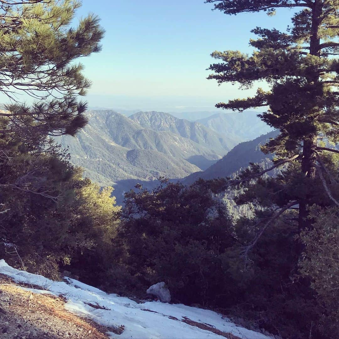 ロッテ・ヴァービークさんのインスタグラム写真 - (ロッテ・ヴァービークInstagram)「Today’s trip 💚  #daytrips #intothewilderness #cedarsprings」4月25日 10時32分 - lotteverbeek