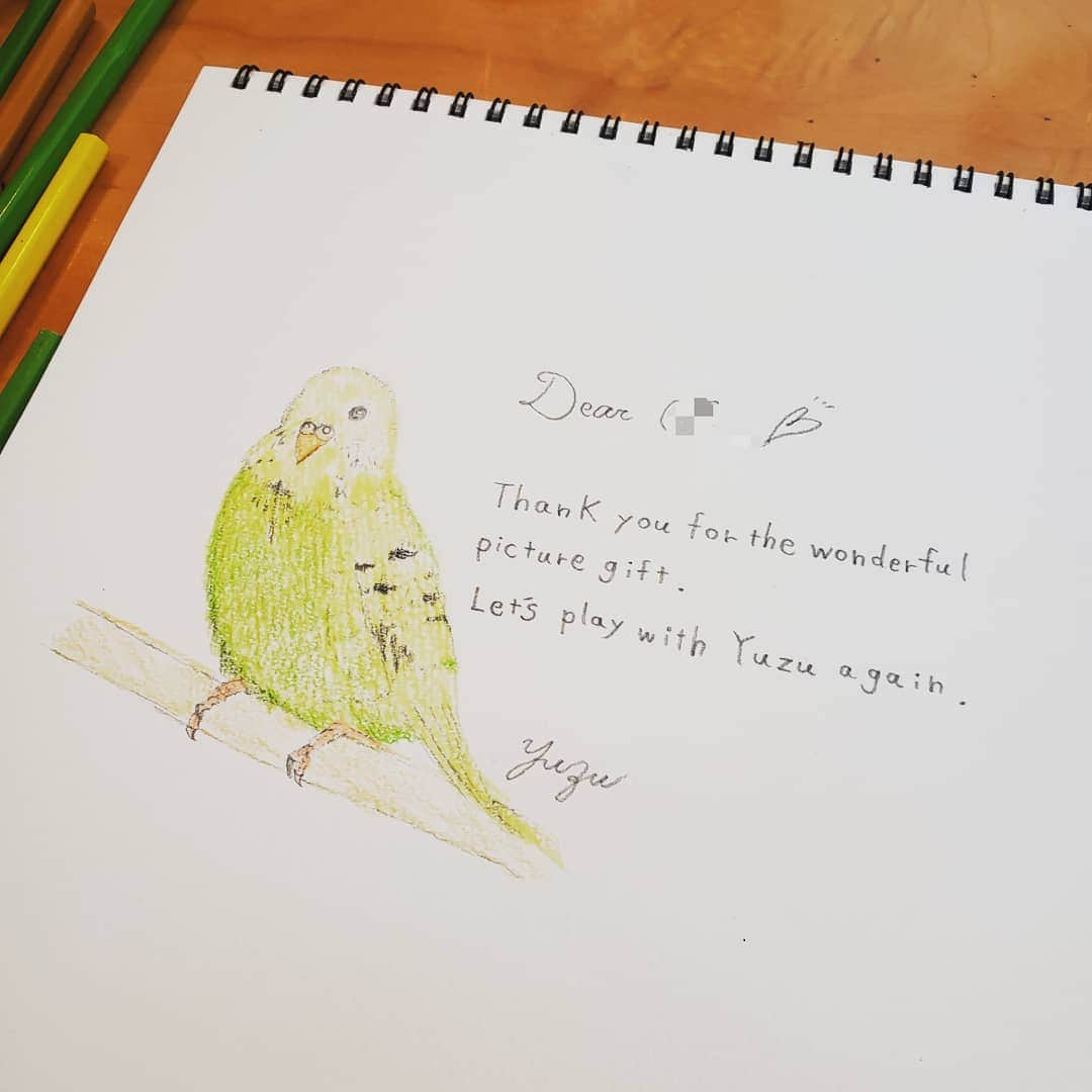 向山志穂のインスタグラム：「先日可愛い二人から絵手紙をもらいました💕 子供たちからもらうお手紙には絵がかいてあって文章がある。 大人になるとなかなかお手紙に絵は書かないなぁ。とふと思い お返事を書くのに絵手紙に挑戦しました。  私の最近の癒しの一つはインコやオウムの動画を見る事✴ みんな色鮮やかで可愛くて癒される、、、 お友達の家にいるインコもとっても可愛くて小さい頃の写真を見ながら書きました。 セキセイインコは柄や色のバリエーションは5000種類もあるそうです！！ そんなにいるなんてしらなかった👏😲 #絵手紙 #セキセイインコ#癒し#今までやらなかった事に挑戦」