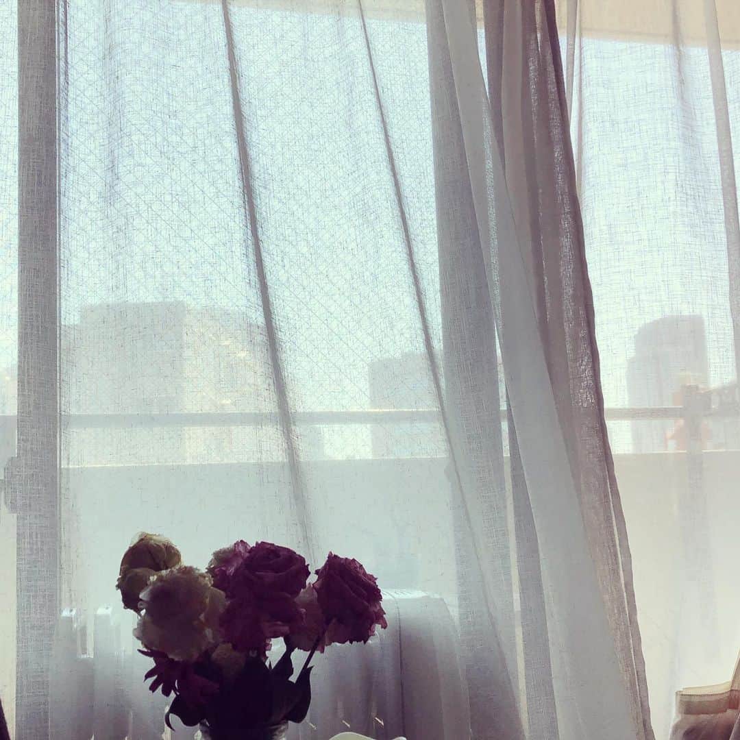 のインスタグラム：「#stayhome  朝イチでレースのカーテンをお洗濯。 いつぶりだ？！笑  お部屋中に、柔軟剤のやさしい香りが広がるー🎶  #curtain #wash #washing」