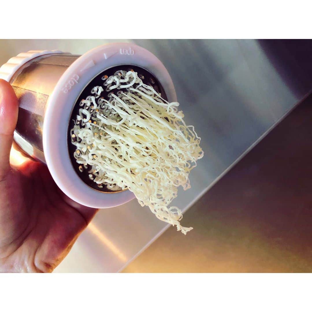 のインスタグラム：「新しいパングッズを手に入れた、わたしだよ。  #モハプレストバターミル  お友達が家に配達してくれた に志かわさんの食パン😭 ありがたやーー🙏🙏」