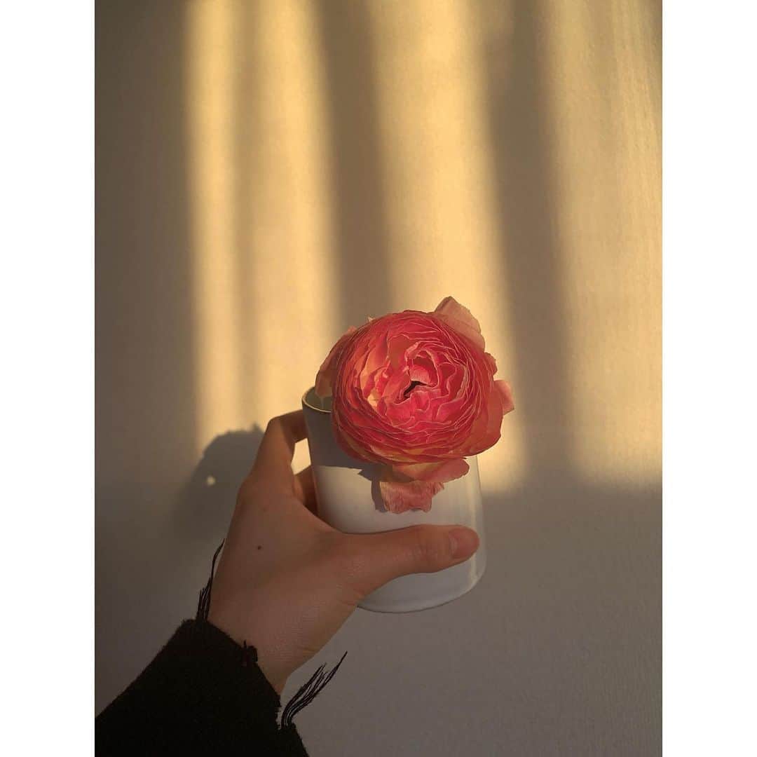 杉咲花さんのインスタグラム写真 - (杉咲花Instagram)「陽の光に、花に、小さな炎に、パワーをもらいます。🌞💐🕯」4月25日 11時45分 - hanasugisaki