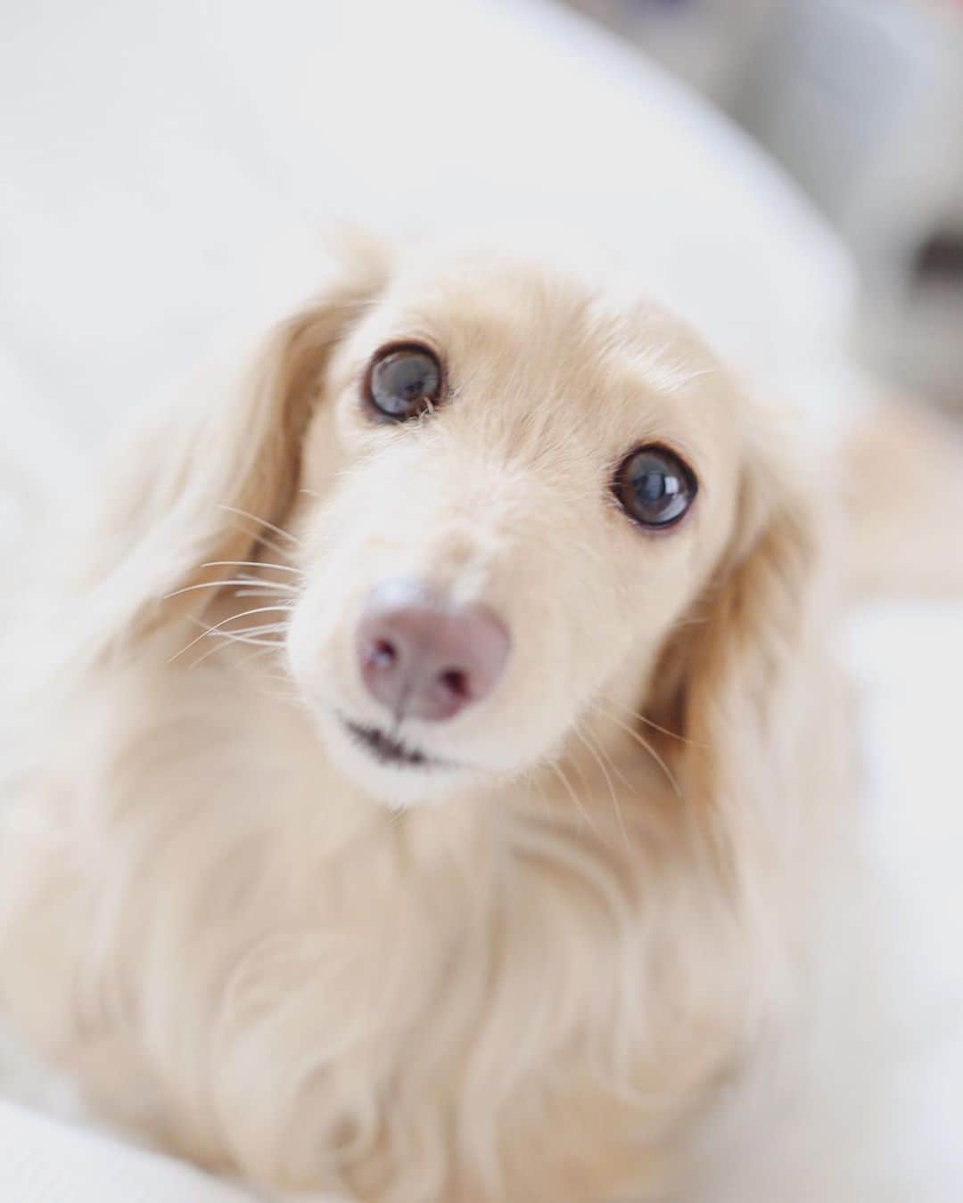 BETTYのインスタグラム：「Good night」