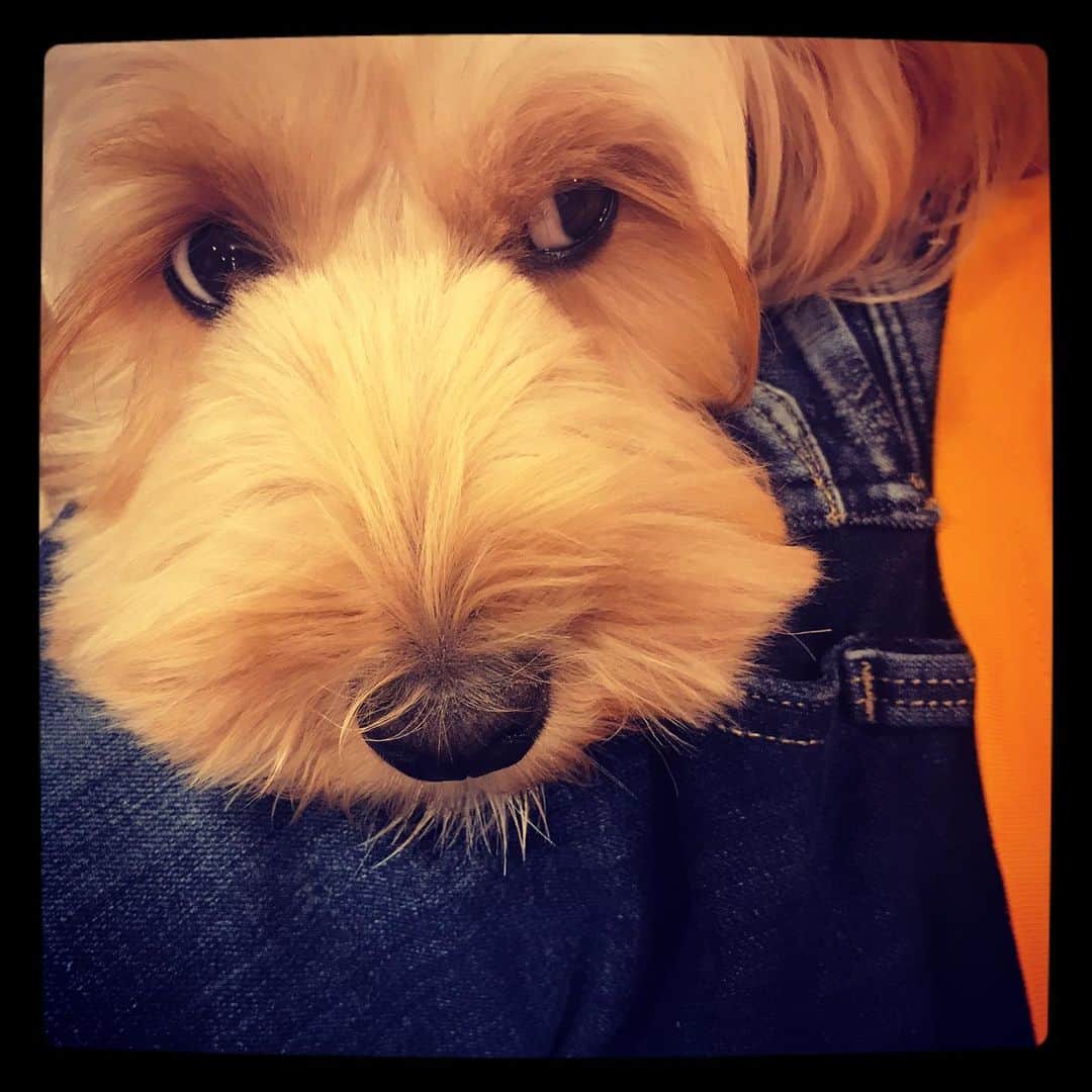 北山陽一のインスタグラム：「右。#きたやまおかき」