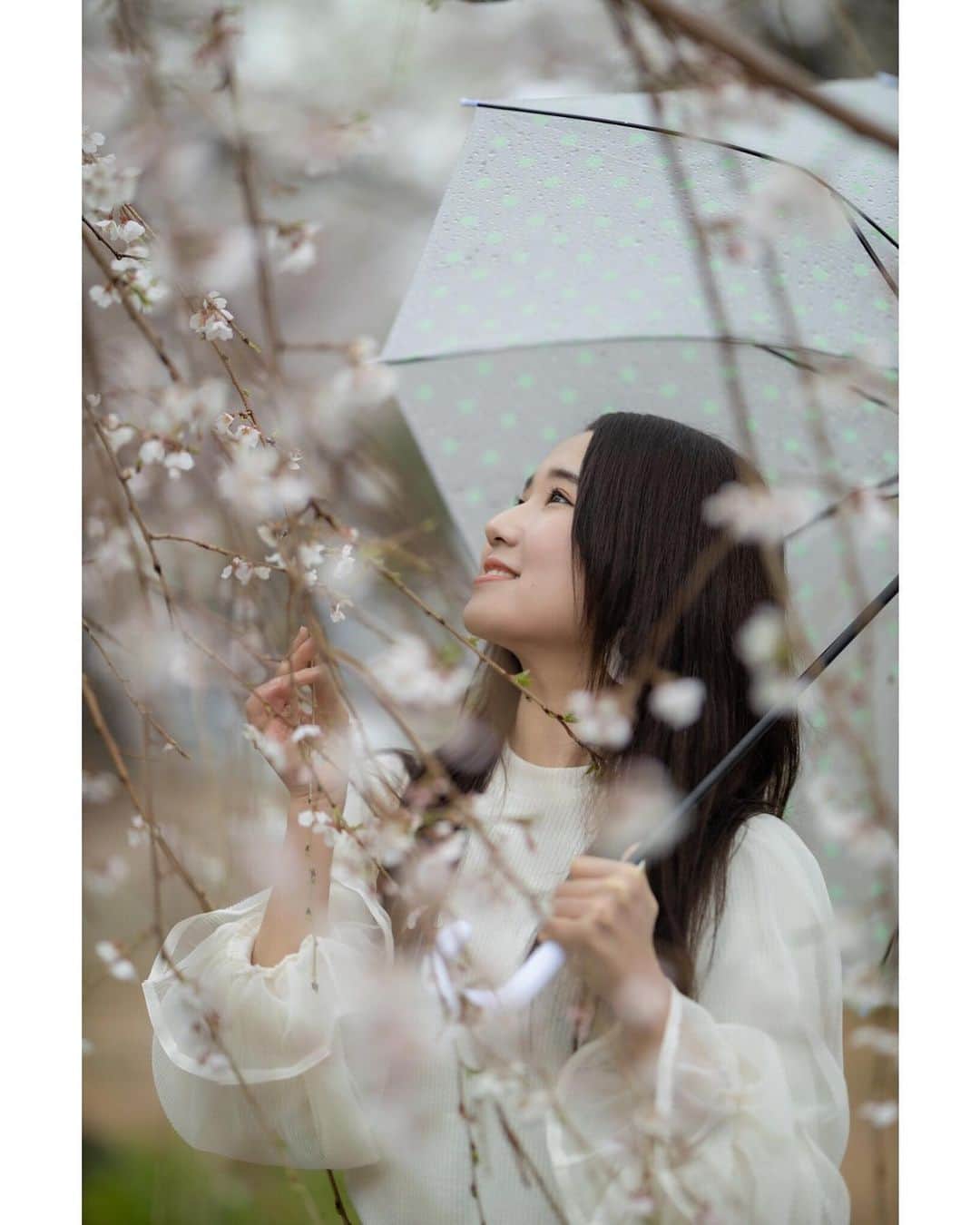 ワンサイド福岡さんのインスタグラム写真 - (ワンサイド福岡Instagram)「model：前田 まなみ @manami_oneside  photo by：フォトグラファーAkira 様 ＊ 3月の桜ポートレート撮影会のお写真です。 私の好きな桜と雨のコンボ！ 誠にありがとうございます。 ＊ それにしても、前田まなみさんの横顔、きれいですよね。 ＊ #桜 #桜ポートレート  #福岡撮影会 #モデル撮影会 #撮影会 #撮影会モデル #被写体  #被写体モデル #福岡被写体  #福岡市 #福岡モデル  #福岡カメラ部  #福岡カメラマン #ポートレート  #ポートレート撮影  #ポートレートモデル  #ポートレートモデル撮影  #写真撮ってる人と繋がりたい  #カメラ好きな人と繋がりたい  #ポートレート好きな人と繋がりたい  #カメラマンさんと繋がりたい  #ファインダー越しの私の世界 #ワンサイド福岡  #ワンサイド撮影会  #portrait  #portraitphotography  #portrait_vision  #lovers_nippon_portrait  #instagood #model」4月25日 21時28分 - oneside_fukuoka