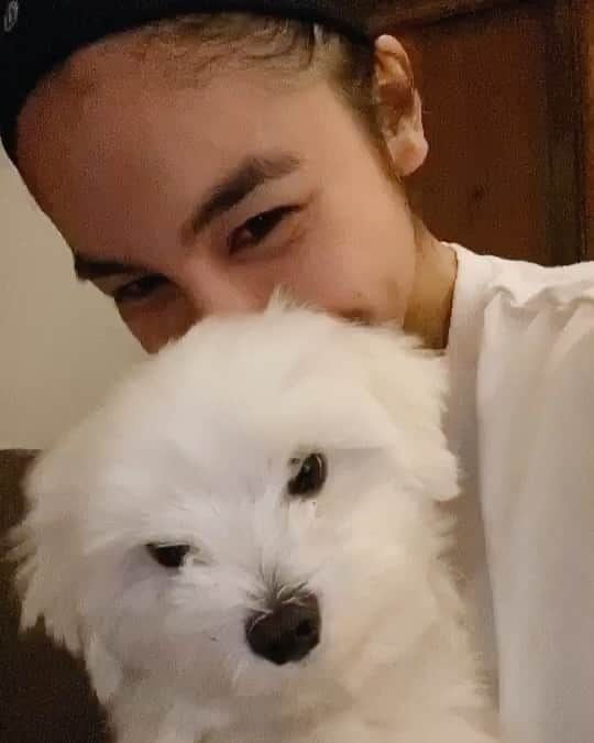 のインスタグラム：「Dog challenge 😍」