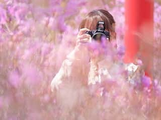 鎌田菜月さんのインスタグラム写真 - (鎌田菜月Instagram)「📷💭🐰 ・ スイッチ！でご一緒させていただいたはなまっぷの後藤さんが撮ってくれたお写真です🍡 カメラ同士で撮りあいっこ〜☺️ ・ #はなまっぷ #cameragirl #spring #pink #ミツバツツジ #一眼レフ初心者」4月25日 21時56分 - nacky_k829