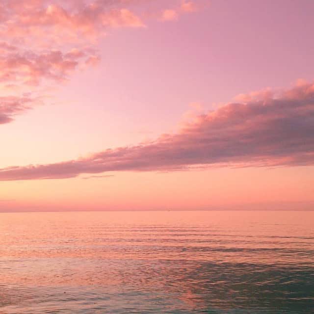 ジャーダン・ミラーのインスタグラム：「Something pretty to look at 💖」