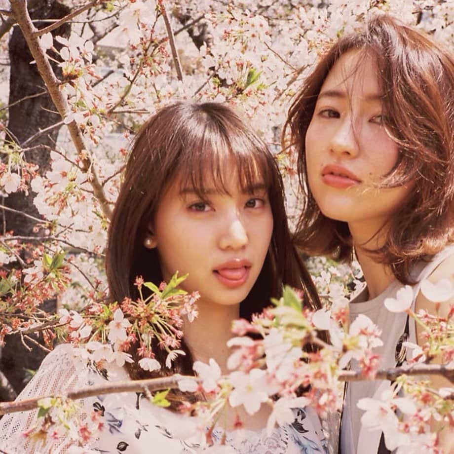 寒川綾奈さんのインスタグラム写真 - (寒川綾奈Instagram)「そろそろ今年の日本中の桜も散った頃だと思うのでアップします！﻿ 本日は2018年4月1日に撮影した桜の写真です🌸﻿ @daisuke.ssk に撮ってもらったよ！﻿ めちゃくちゃ素敵な写真📸﻿ 人がいない時期にと散り際に行ったら結構散っちゃってたんやけど、花びらついてたとこの赤もなんかいいよね🤫 まみれにまみれました笑﻿ ﻿ また同じ場所で来年撮影できたらいいなぁ^^﻿ ﻿ #カメラロールを振り返る　#stayhome #うちで過ごそう　#桜」4月25日 14時43分 - sogawaayana