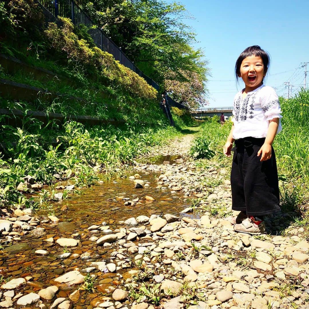 新井美穂さんのインスタグラム写真 - (新井美穂Instagram)「買い物は、お留守番を頑張ってくれていていつも笑顔で「いってらっしゃ〜い！」「おかえり〜！」と言ってくれていた娘だけど 今日初めて「やだー！！ハレちゃん、ほんとはひとりはいやなんだよー。」と泣いた。 。。。そりゃそうだよね。 まだ小さいもんね。見た目老けてるからついつい勘違いしちゃうけど（笑）  でも仕方ないんねんと諭すと 「なんでもコロナのせいかよー！」とキレられたけど（笑）頑張ってくれました。  今日は野川へ#お花摘み  こういう楽しみは#母娘の特権 だね🌼  #娘3歳10ヶ月」4月25日 14時40分 - arai_miho