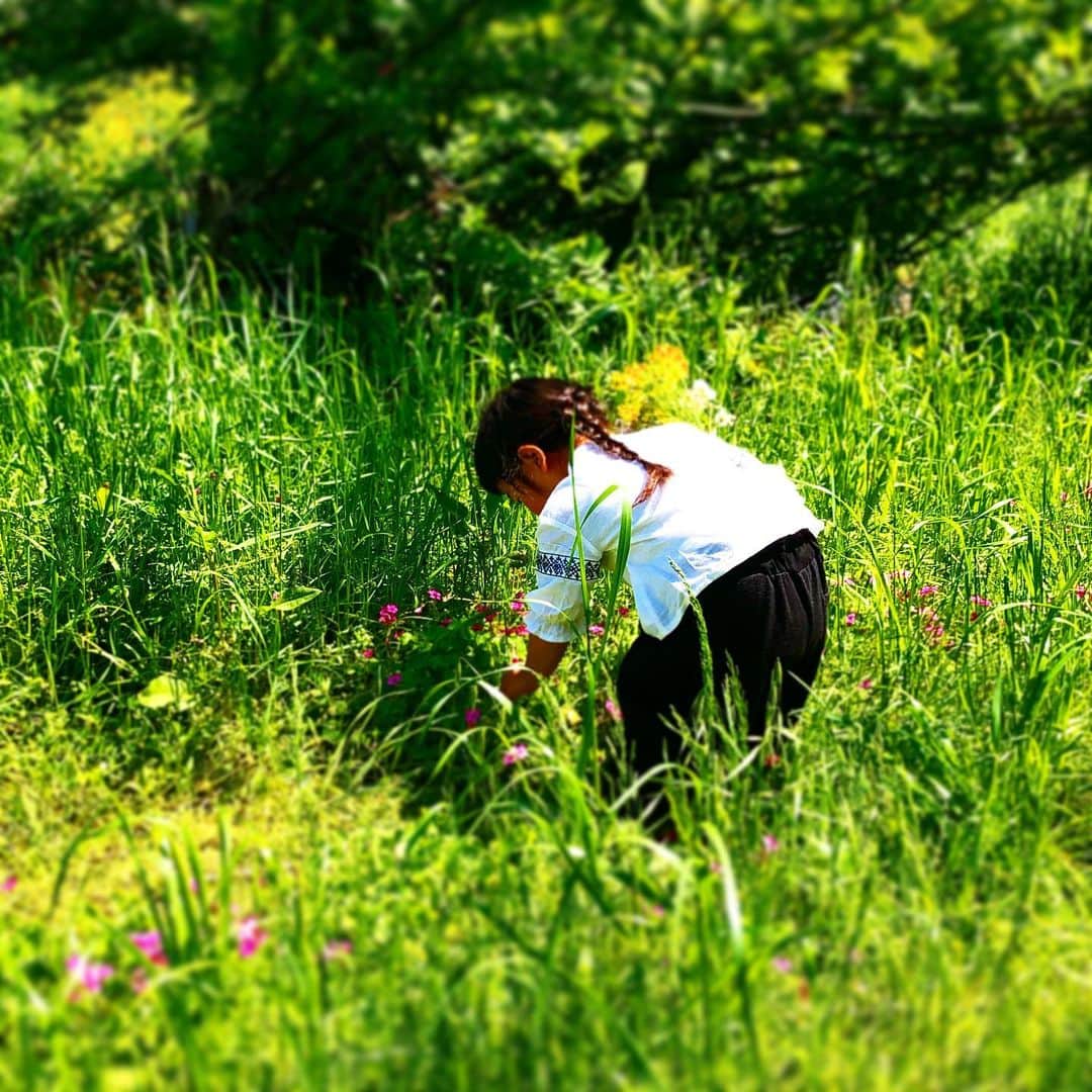 新井美穂さんのインスタグラム写真 - (新井美穂Instagram)「買い物は、お留守番を頑張ってくれていていつも笑顔で「いってらっしゃ〜い！」「おかえり〜！」と言ってくれていた娘だけど 今日初めて「やだー！！ハレちゃん、ほんとはひとりはいやなんだよー。」と泣いた。 。。。そりゃそうだよね。 まだ小さいもんね。見た目老けてるからついつい勘違いしちゃうけど（笑）  でも仕方ないんねんと諭すと 「なんでもコロナのせいかよー！」とキレられたけど（笑）頑張ってくれました。  今日は野川へ#お花摘み  こういう楽しみは#母娘の特権 だね🌼  #娘3歳10ヶ月」4月25日 14時40分 - arai_miho