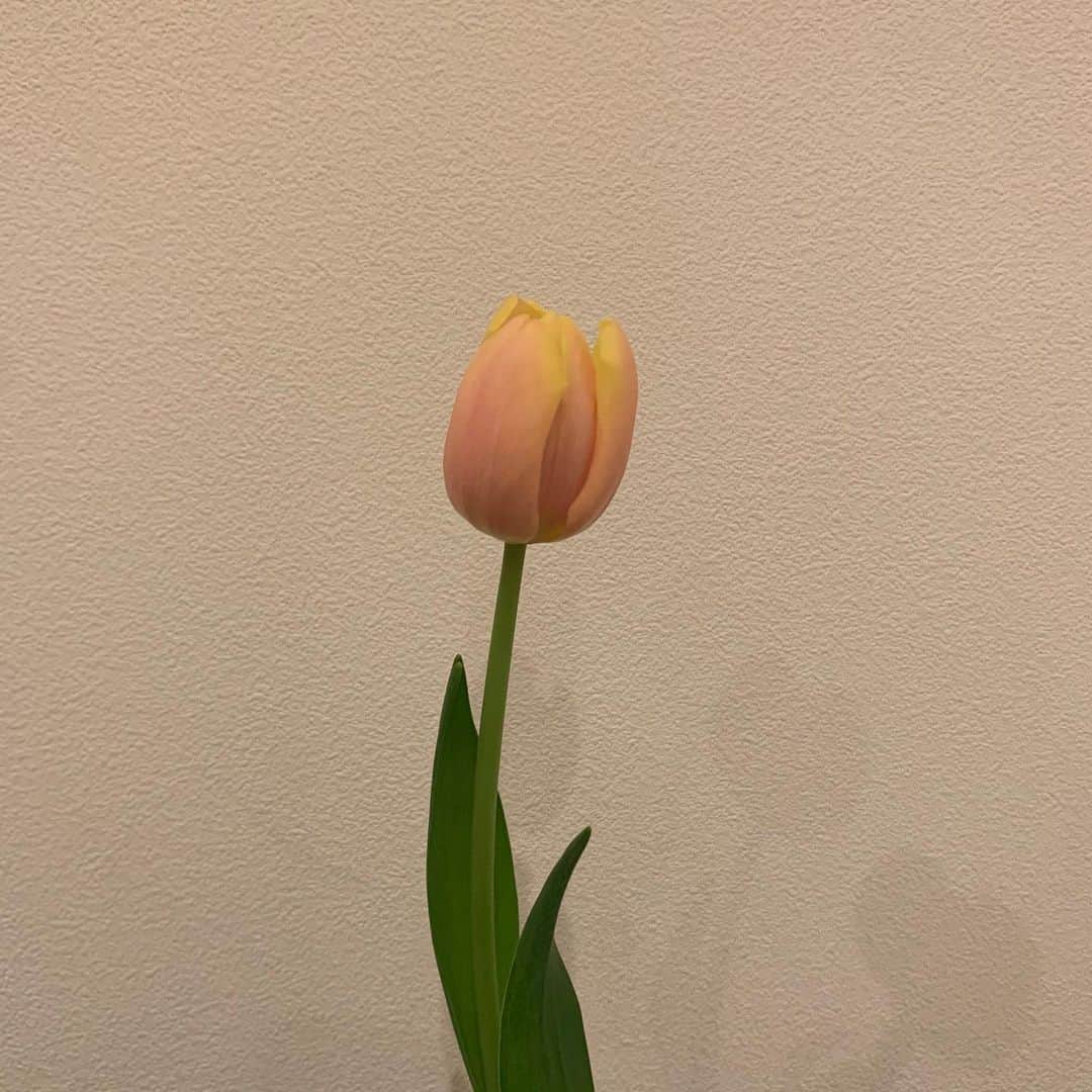 RINのインスタグラム
