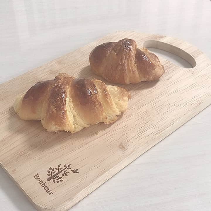 白井美帆さんのインスタグラム写真 - (白井美帆Instagram)「今日はクロワッサンつくりました🥐 発酵なし簡単レシピ♫ 大きさが不揃いなのはわたしのパン作り毎回です笑 #おうち時間  #パン作り #クロワッサン #stayhome」4月25日 15時23分 - shirai_miho77