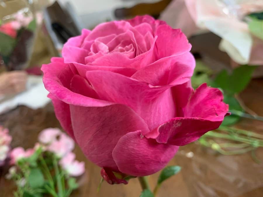 金井憧れさんのインスタグラム写真 - (金井憧れInstagram)「お花のプレゼント🎁が北海道から届きました🌹  いい香り〜♡ お花を飾ると、パッとお部屋が明るくなりますよ✨✨ #薔薇好き#🌹 #rose#オール4ラブ #ヴェルジュ  #ja北海道中央会 #みんなのよい花プロジェクト  #素敵なおうち時間の予感 #tbsnews #今日のお仕事は終わりーっ📺」4月25日 16時22分 - akogare.kanai