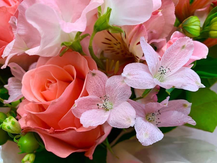 金井憧れさんのインスタグラム写真 - (金井憧れInstagram)「お花のプレゼント🎁が北海道から届きました🌹  いい香り〜♡ お花を飾ると、パッとお部屋が明るくなりますよ✨✨ #薔薇好き#🌹 #rose#オール4ラブ #ヴェルジュ  #ja北海道中央会 #みんなのよい花プロジェクト  #素敵なおうち時間の予感 #tbsnews #今日のお仕事は終わりーっ📺」4月25日 16時22分 - akogare.kanai
