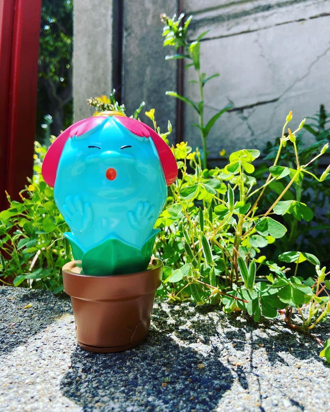 進祐哉のインスタグラム：「🎊🌷🌞🎊 #neoone」