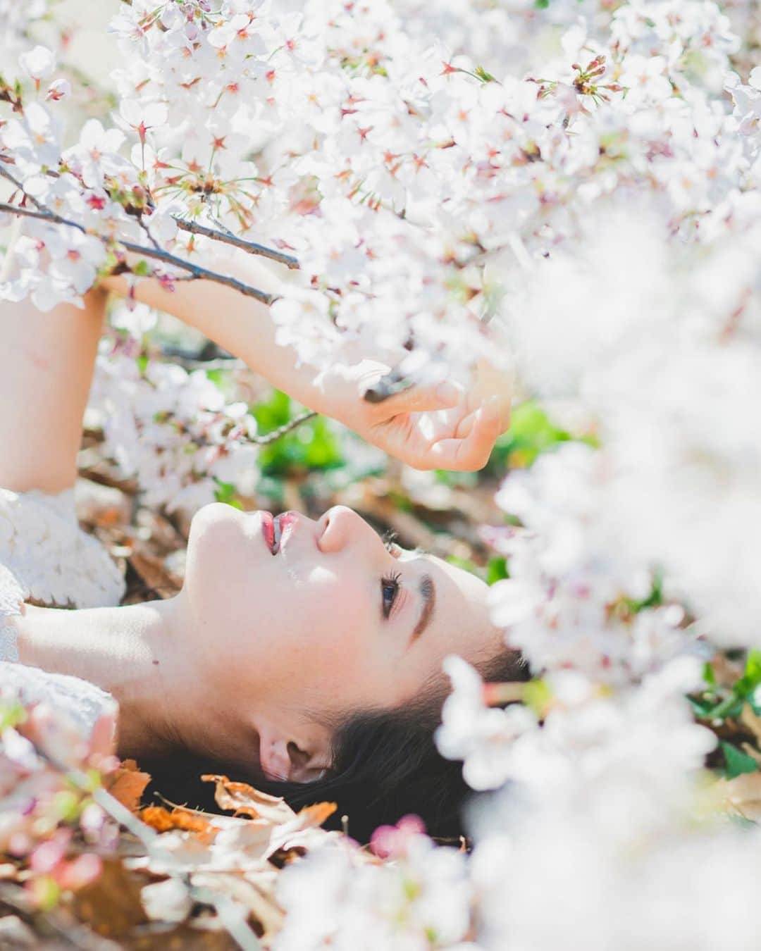 hama_aki_pppさんのインスタグラム写真 - (hama_aki_pppInstagram)「東京都世田谷区#砧公園  Location Tokyo Japan  2020.3月  model:@yn_____0203 hair&maik :@nari_lunaanue camera:@cocofleur_wedding  東京で1人頑張る娘よᕦ(ò_óˇ)ᕤコロナ落ち着いたら観光旅行行こうね🌸　 先日の娘postと同じくプロによる作品撮影🌸🌸#ウェディングフォト です。  #桜の季節  #美しい日本　 #東京観光  #桜満開  #桜のある風景  #桜の名所  #日本の四季  #flower_super_pics  #total_asia  #amazing_shotz  #top_favorite_shots  #allthingsofbeauty_  #tripjapan  #inspring_shot  #tokyo_japan  #sakurablossom  #worldbestshot  #earthofficial  #japanesetemple  #japanesegarden  #lovers_united_japan  #j_flower_shots  #flower_special_  #portraitkillers  #portraitperfection」4月25日 17時11分 - hama_aki_ppp