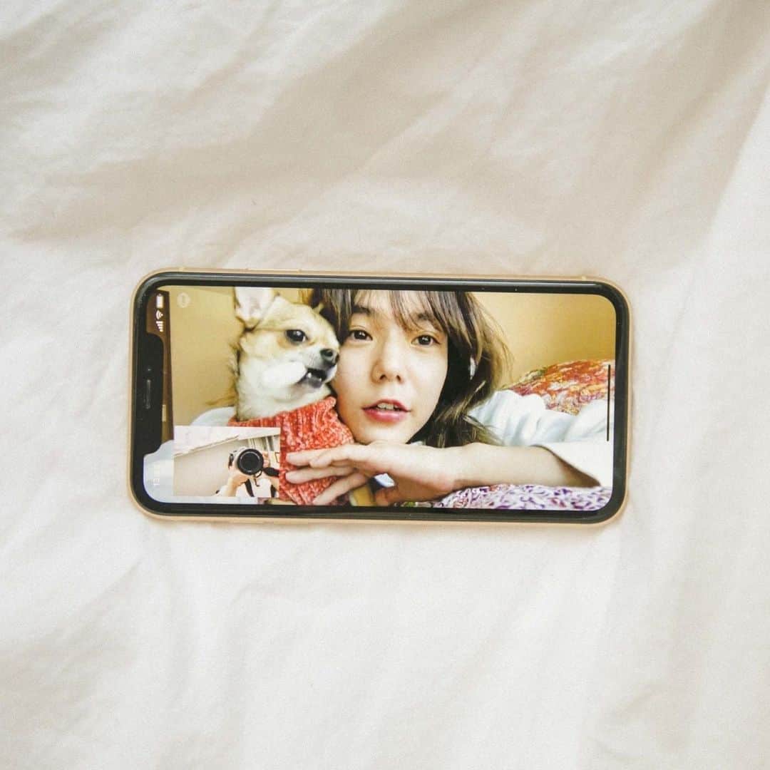 のインスタグラム：「@fukudahitomi610 ちゃんと テレビ電話しながら 撮影した🤣😂💘 ステイホーム撮影📸🐕💘 3枚目のuniは不思議そうに 福ちゃんを見ていたよ笑  #おうち時間 #stayhome #stayhome撮影」