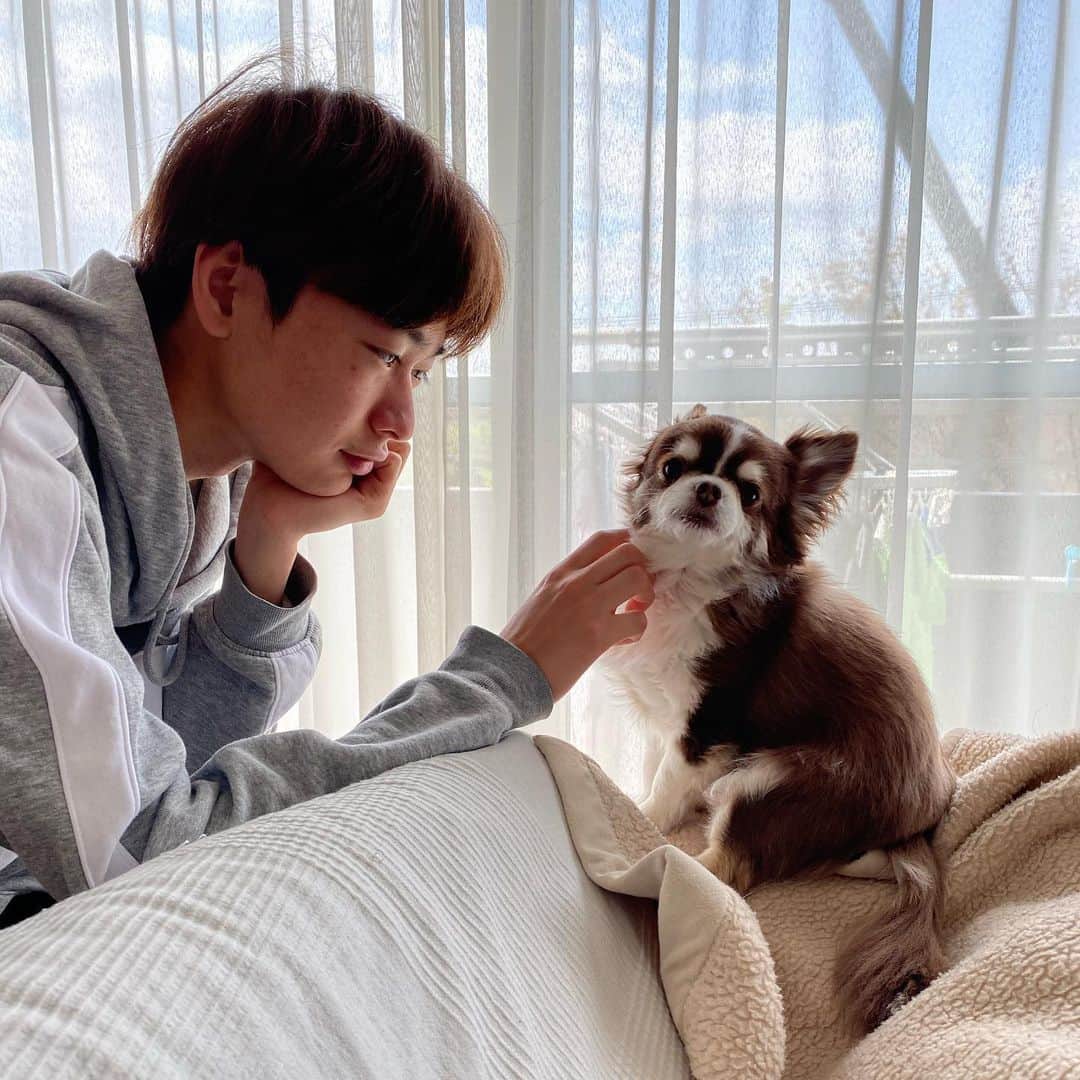こまけいこのインスタグラム：「#おうち時間  #犬カメラ目線 #暇な人2人」