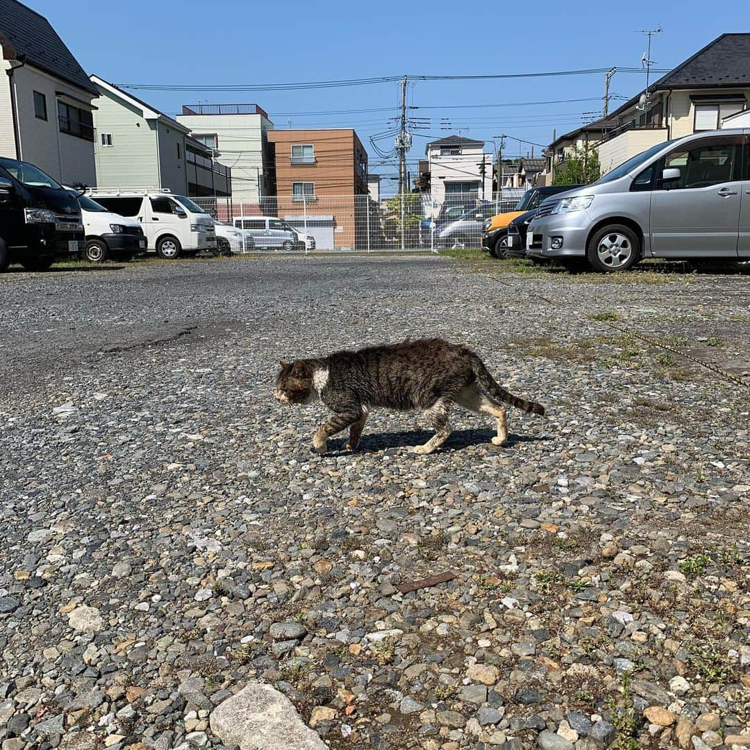 Kachimo Yoshimatsuのインスタグラム