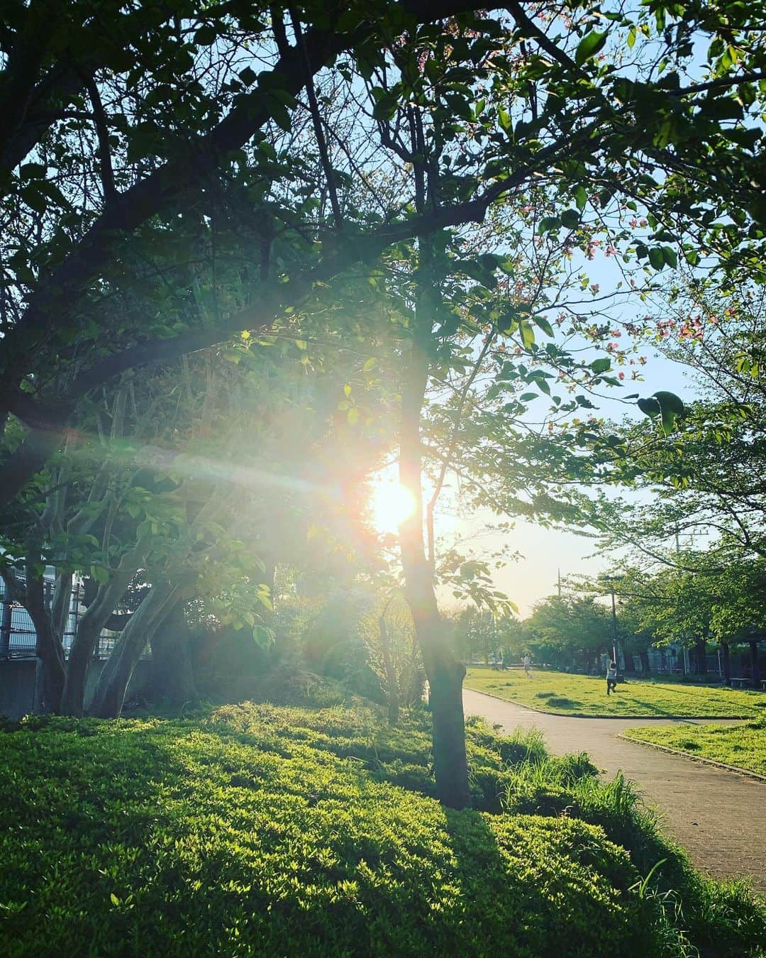 榊いずみさんのインスタグラム写真 - (榊いずみInstagram)「今夜もインスタライブ、21:30からやりますー✨✨好きな飲み物やスナック食べながらリラックスして見てね！リラックス大事。  近所のいたるところに公園や緑が多くて感謝。  #instalive #stayhome」4月25日 18時05分 - izumizmroom