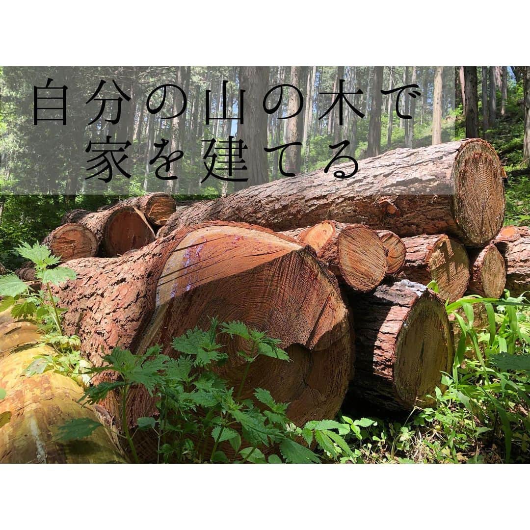 工房信州の家さんのインスタグラム写真 - (工房信州の家Instagram)「伊那展示場の中村です。  伊那市K様邸の山の木伐採式に行ってきました。 お父様が建てられた母屋もこの山から採れた木材を使用しているそうです。  ご先祖様が植えた木で自分たちの家を建てるいいものですね  more photos..@koboshinshu  #工房信州の家 #工房信州 #フォレストコーポレーション #信州の家 #木の家 #自然素材 #自然素材の家 #無垢材 #田舎暮らし #暮らし #住まい #注文住宅 #新築 #一戸建て #マイホーム #自由設計 #工務店 #インテリア #デザイン #施工事例#伊那市#建て替え#山の木で家づくり」4月25日 18時27分 - koboshinshu