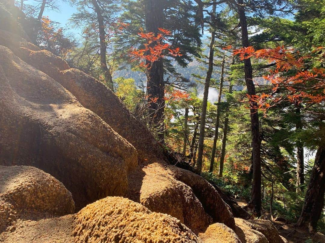 中村葵さんのインスタグラム写真 - (中村葵Instagram)「＊ ＊ 中房温泉から急な登りを頑張って登ります。 日本三代急登！！ ですが、お天気のせいか八ヶ岳の方がしんどかった。笑 ・ 登っていくと、燕岳っぽい丸っこい岩がもこもこ。 可愛い。。。！！ 振り返ると展望が少し開け遠くがみえて、10月だったので近くの紅葉ととても綺麗でした🍁 ＊ ＊ #山歩ガール #燕岳 #日本三大急登 #中房温泉 #中房温泉登山口 #登山口 #登山スタート #登山 #山登り大好き #山登り #山登り好きな人と繋がりたい #山登り女子 #登山女子 #自然 #自然が好き #秋山 #秋山登山 #北アルプス  #リポーター　#新日本百名山 　#japan #japanesemountain #nagano #tsubakuro #instagood #instajapan」4月25日 18時50分 - aoinakamura123