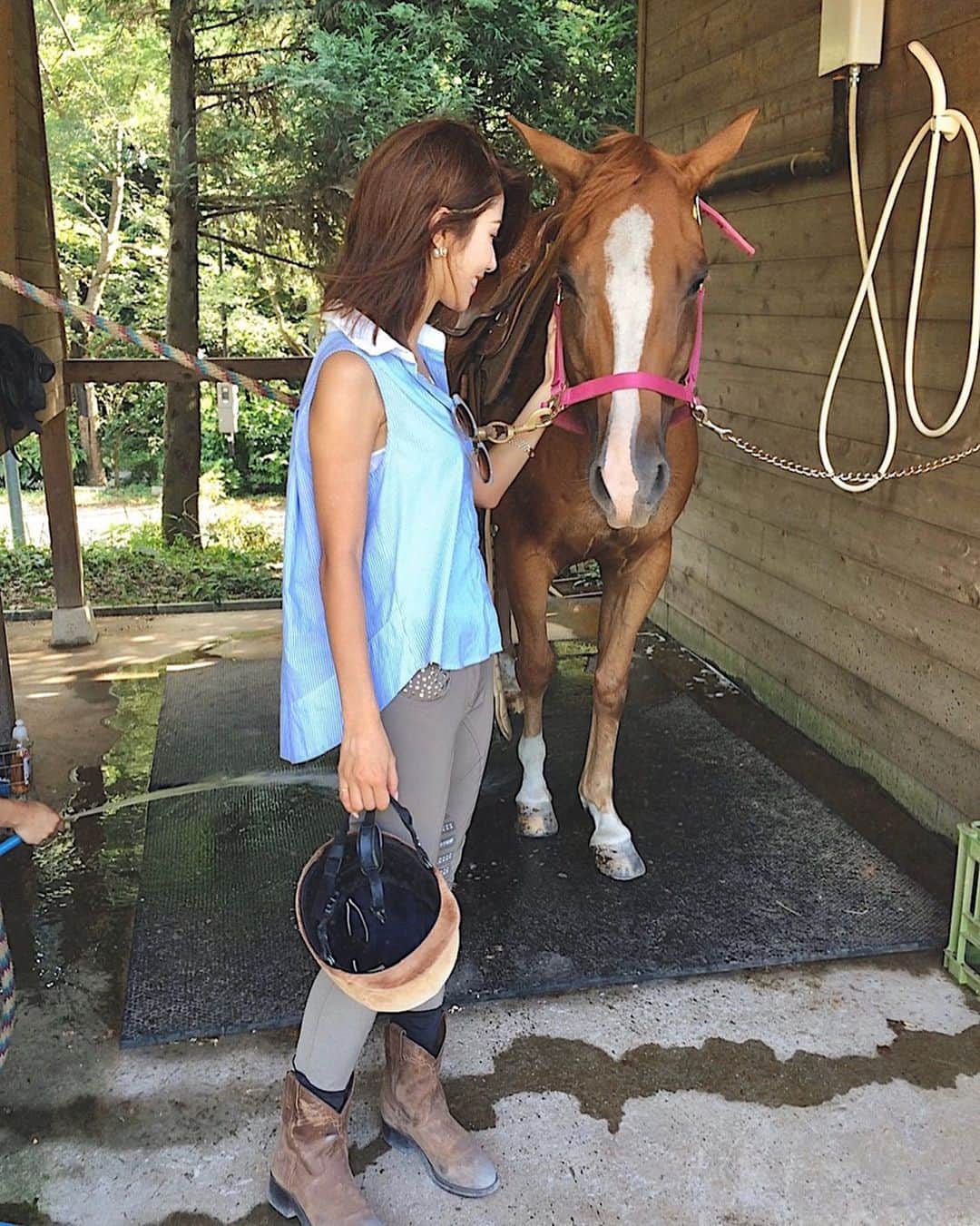 のインスタグラム：「𝒘𝒊𝒔𝒉𝒍𝒊𝒔𝒕🌿🐴💛﻿ 会いたいな〜﻿ ﻿ #horseriding#horse#animal﻿ #乗馬#evergreenhorsegarden﻿ #エバーグリーン」
