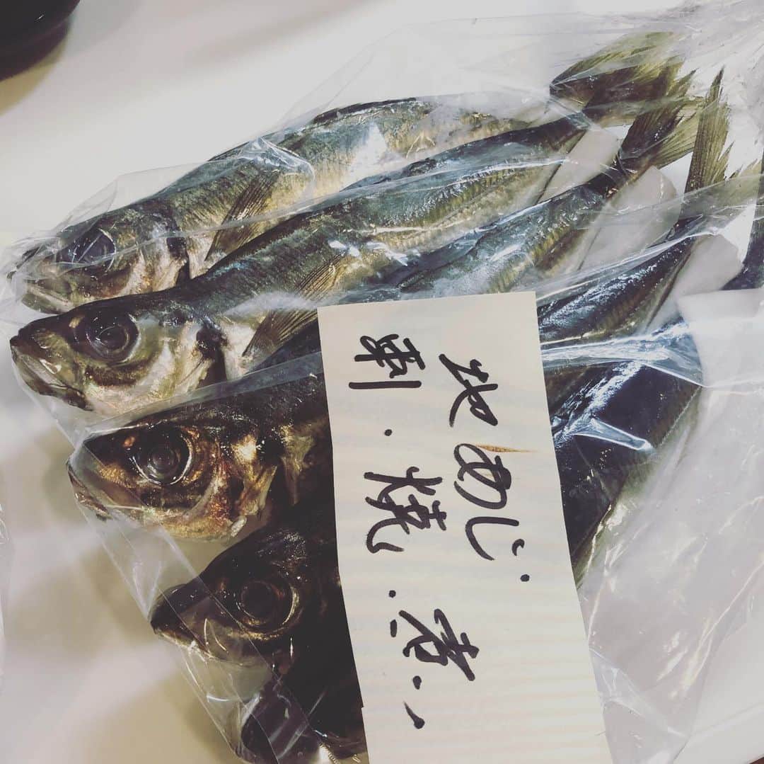 依布サラサさんのインスタグラム写真 - (依布サラサInstagram)「無性に美味しいお魚が食べたくて、、 @sakana.ooyama さんの 丁寧にお仕事されてる新鮮ピカピカお魚たち もう宝箱だー‼️(連日パイレーツオブカリビアン🏴‍☠️見た影響もアリ) って感じにぎゅうきゅうに色々なお魚が入ってて🐟 可愛いキジハタちゃん🐟なぜあなたはそんな柄なんでしょう、、😍とか言いながら煮付けたり可愛い鯵をyoutube見ながらさばいたり、今のこのおうち時間がなければ魚を取り寄せて自分で捌くってやらなかっただろうなぁと思うと、新しい発見が色々ある👁 面倒くさいって思ってたことも丁寧にやると全然面倒くさくないってことに気付いたり。 子供にも魚の本来の姿を見せて、捌く工程も見せて、楽しんでるのは勉強になってるとおもう！ 貴重な時間だなぁ🙏 #きじはた　を横に固まる　#サラミニ　#煮付け　#魚　#大山鮮魚店 #子供に魚を見せられる　#おうち時間　#stayhome #魚育」4月25日 20時00分 - sarasaifu