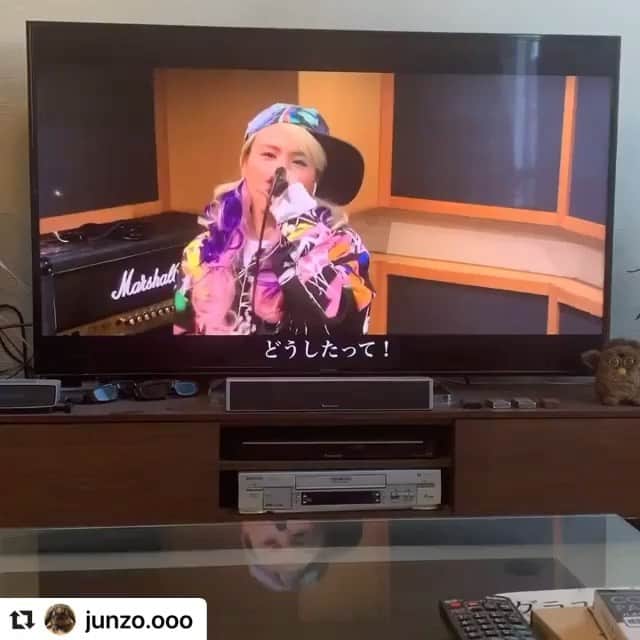 misoNosukeのインスタグラム