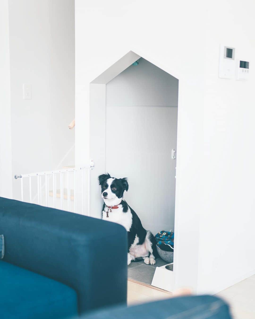 sorayuchiのインスタグラム：「・ STAY HOUSE🏠 ・ 自宅にいる時間が長くなったせいか、ソラマメ🐶も最近よくハウス(自分たちの部屋)にいます🏠」
