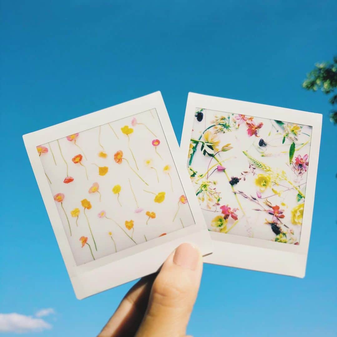 石野千尋のインスタグラム：「Stay home project 🏡  New work with  @maisonmalta 🌼 Free download 📲💕 . 今月もまだまだ続くおうち時間。。。 少しでも気分転換のお手伝いができれば！と、前から企画していた写真をみなさんにお届けすることにしました。先月の写真、待ち受けにしたよー！とのお声をたくさんいただき、こちらが元気をもらいました！ありがとうございます😊  今日は第二弾をご用意しました！ 母の日なので、お母様にメッセージと共に送ったり、プリントアウトしてお手紙にしたりお好きに使ってくださいね♬ . @maisonmalta ✖️ @chihiroishino . お花の写真で少しでもみなさまの安らぎの時間のお手伝いができたら嬉しい限りです。  ストーリーズからのスクショ、もしくはプロフィールからwebsiteのtop画面よりダウンロードしてください🔗 . たくさんの人に届きますように♡ . #stayhome #stayathome #staysafe #photo #photographer #photooftheday #flower #arrangementflower #cheki #instax #flowerwall ##mothersday #photowall #🏠」