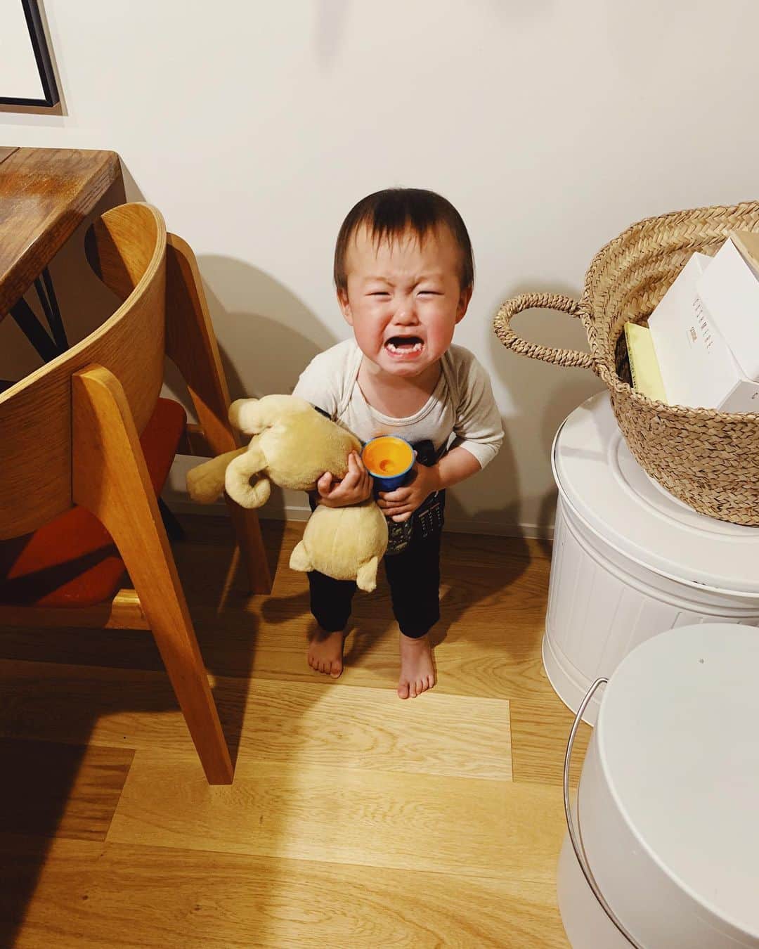 花盛友里のインスタグラム：「雷が怖くって泣いているところ。  この前のすごい雷の日に、ご飯食べ終わってからわたしがキッチンで片付けしてたらカメ吉が 「こわーい、、」 しくしく泣きながらわたしの足にしがみついてきたの。 「こわい？！こわいの？雷？」って聞くと 外を指差して 「こわーい」って。 『こわい』って感情で泣くのは初めてだったから、成長に感激しちゃった。and怖いって言いながらしがみついてくるのが可愛すぎてかわいすぎてかわいすぎた！  この写真は、怖いってゆうてんのに、かーちゃんがなかなかな抱っこしてくれないので部屋の隅で泣き叫んでるところ。  この次の日も外が暗くなってからカーテン開けてたら「こわーい」って言ってて可愛かったわぁ。  いや、怖いの言い方がかわいすぎるのよ！ほんと、録音したいわ。。 1歳9ヶ月、全力でイヤイヤ期突入してて、ほんっっっとに大変。。 でも喋るようになってきて死ぬほどかわいい！大変と可愛いの差がでかすぎてほんとツンデレだわー。」