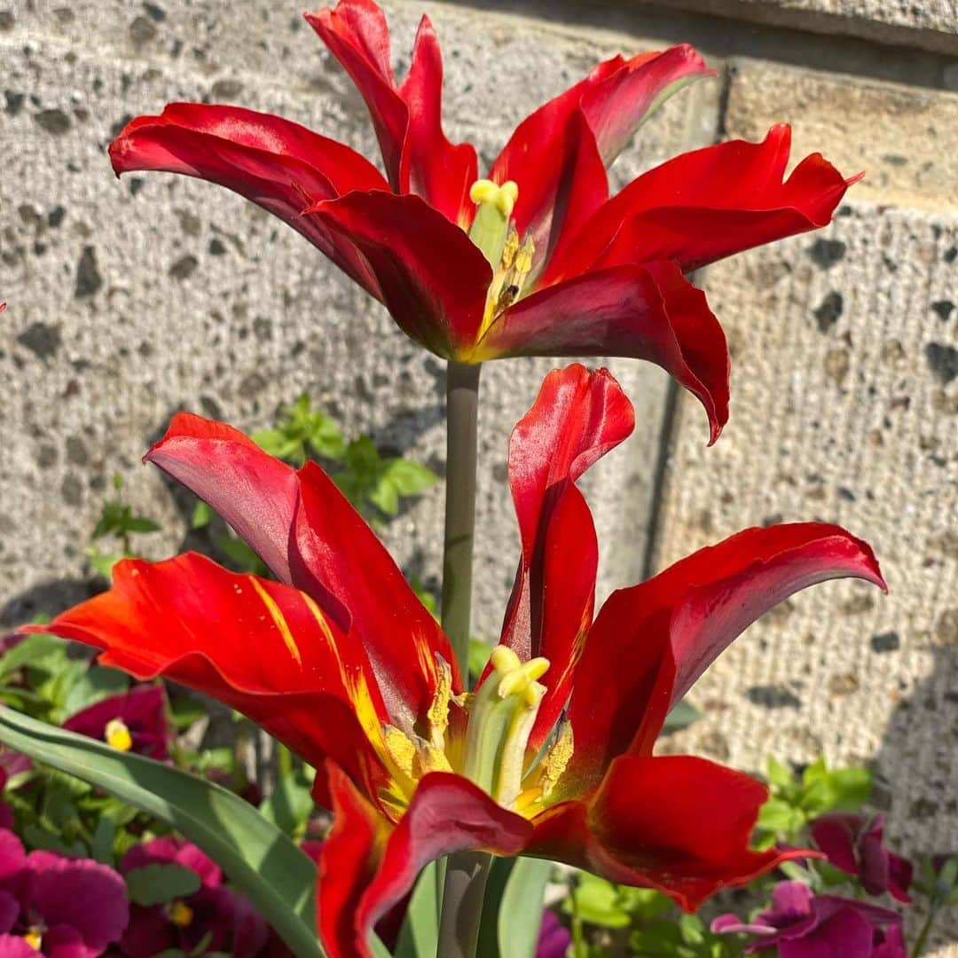 魔女菅原のグルメインスタ