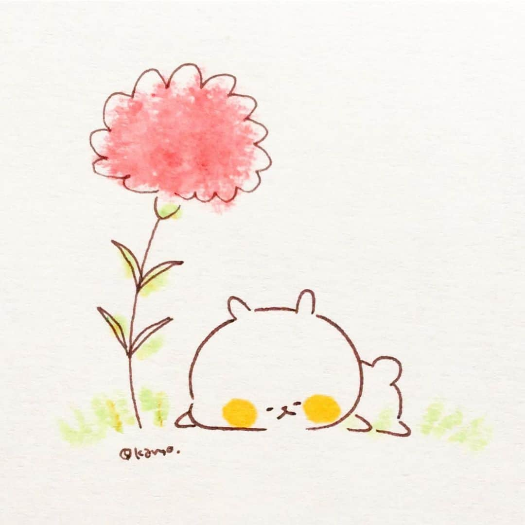 カモさんのインスタグラム写真 - (カモInstagram)「ピーピー #母の日#Mathersday#イラスト#illustration#ウサギタケ#usagitake」5月10日 9時53分 - illustratorkamo