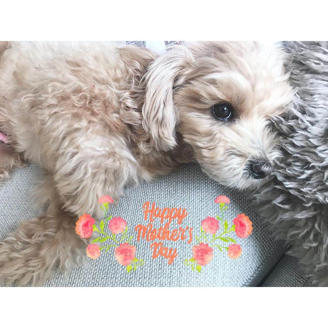 玄里さんのインスタグラム写真 - (玄里Instagram)「HAPPY MOTHER'S DAY !!!﻿ HAPPY 어버이날👩🏼‍🦰👨🏻👵🏻🧓🏾﻿ ﻿ ﻿ 今年は直接会えないけども、﻿ 生放送終わったら、両親とおばあちゃんに電話してみようと思います💐」5月10日 10時40分 - hyunri__official