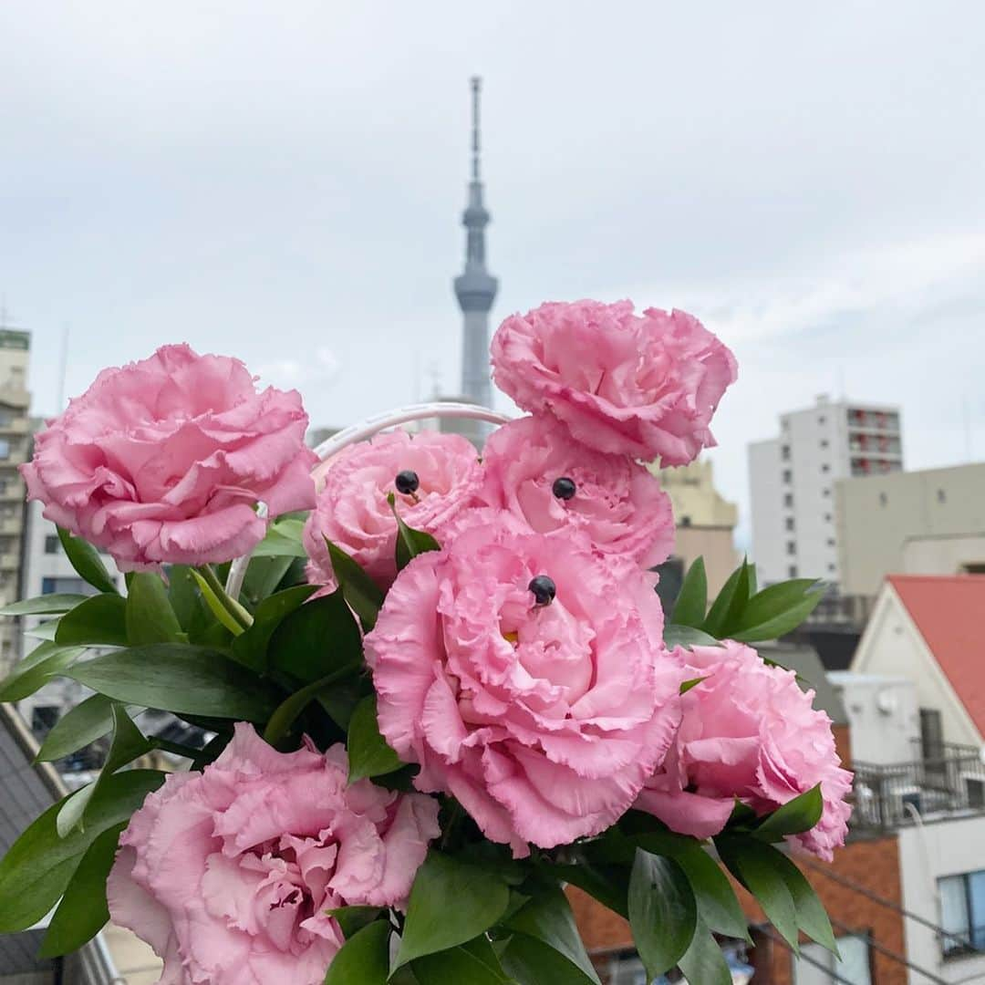 GO AKIMOTOさんのインスタグラム写真 - (GO AKIMOTOInstagram)「Happy mother's day! 母の日のギフトに "DILIGENCE PARLOUR" のフラワーアレンジメント✨💐🐩 わがまま言って、カーネーションじゃなくてトルコキキョウにしてもらっちゃった🥺🙏🏻 @diligenceparlour @ochiyasutaka」5月10日 10時47分 - go_akimoto